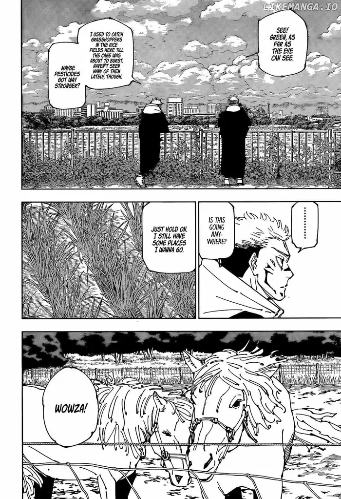 Jujutsu Kaisen Chapter 265 image 07_optimized